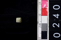 藏品(玉管珠)的圖片