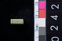 藏品(玉管珠)的圖片