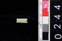 藏品(玉管珠)的圖片