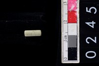 藏品(玉管珠)的圖片