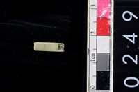 藏品(玉管珠)的圖片