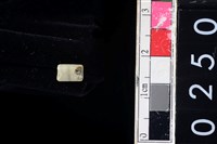 藏品(玉管珠)的圖片