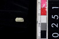 藏品(玉管珠)的圖片