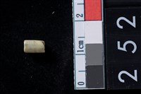 藏品(玉管珠)的圖片