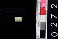 藏品(玉管珠)的圖片