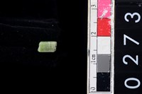 藏品(玉管珠)的圖片