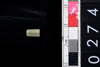 藏品(玉管珠)的圖片