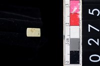 藏品(玉管珠)的圖片