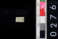 藏品(玉管珠)的圖片