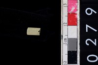 藏品(玉管珠)的圖片