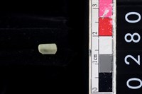 藏品(玉管珠)的圖片