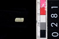 藏品(玉管珠)的圖片