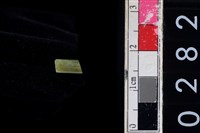 藏品(玉管珠)的圖片