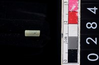 藏品(玉管珠)的圖片