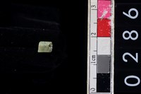 藏品(玉管珠)的圖片