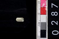 藏品(玉管珠)的圖片