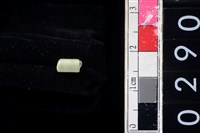 藏品(玉管珠)的圖片