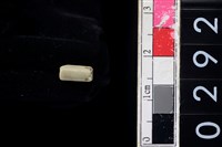 藏品(玉管珠)的圖片