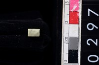 藏品(玉管珠)的圖片