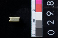 藏品(玉管珠)的圖片