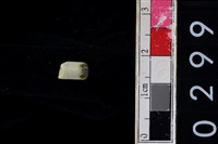 藏品(玉管珠)的圖片