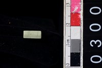 藏品(玉管珠)的圖片