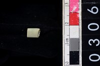 藏品(玉管珠)的圖片