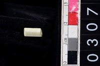 藏品(玉管珠)的圖片