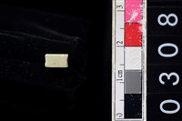 藏品(玉管珠)的圖片