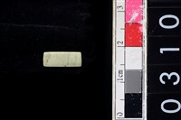 藏品(玉管珠)的圖片