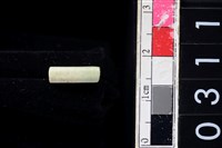 藏品(玉管珠)的圖片