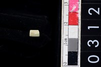 藏品(玉管珠)的圖片