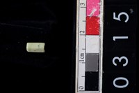 藏品(玉管珠)的圖片