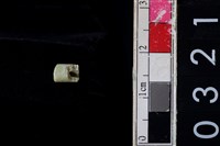 藏品(玉管珠)的圖片