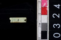 藏品(玉管珠)的圖片