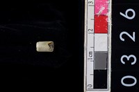 藏品(玉管珠)的圖片