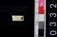 藏品(玉管珠)的圖片