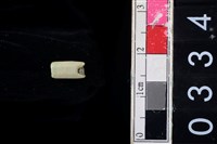 藏品(玉管珠)的圖片