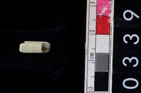 藏品(玉管珠)的圖片