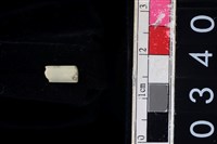 藏品(玉管珠)的圖片