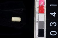 藏品(玉管珠)的圖片