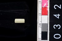 藏品(玉管珠)的圖片