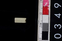 藏品(玉管珠)的圖片