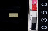 藏品(玉管珠)的圖片