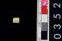 藏品(玉管珠)的圖片