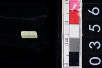 藏品(玉管珠)的圖片