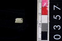 藏品(玉管珠)的圖片