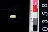 藏品(玉管珠)的圖片