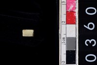 藏品(玉管珠)的圖片