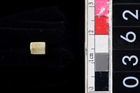 藏品(玉管珠)的圖片